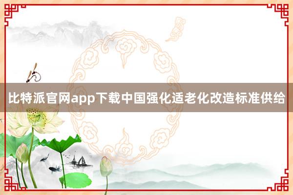 比特派官网app下载中国强化适老化改造标准供给