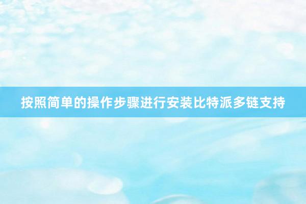 按照简单的操作步骤进行安装比特派多链支持