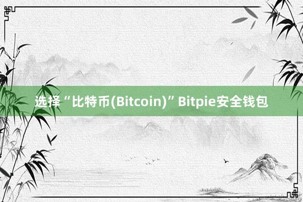 选择“比特币(Bitcoin)”Bitpie安全钱包