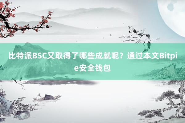 比特派BSC又取得了哪些成就呢？通过本文Bitpie安全钱包