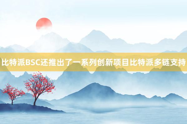 比特派BSC还推出了一系列创新项目比特派多链支持