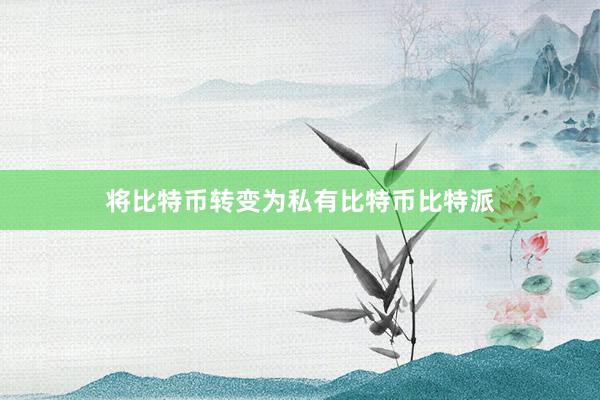 将比特币转变为私有比特币比特派