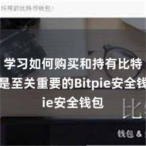 学习如何购买和持有比特币是至关重要的Bitpie安全钱包