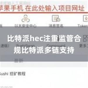 比特派hec注重监管合规比特派多链支持